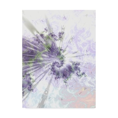 Fractalicious 'Alpha Purple Green' Canvas Art,14x19